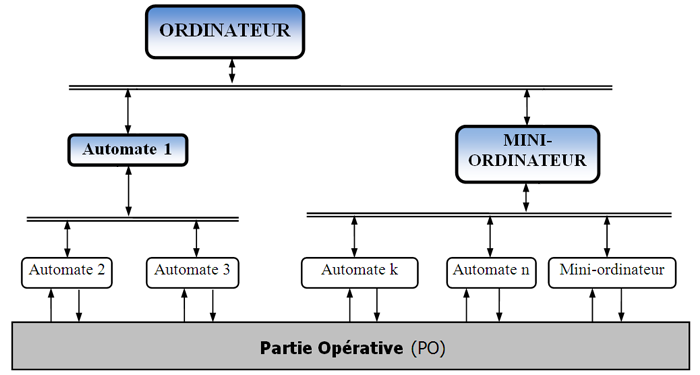 Réseau hiérarchisé